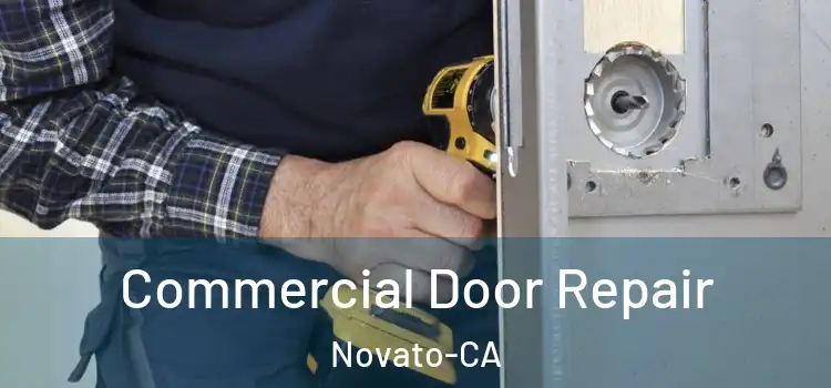  Commercial Door Repair Novato-CA