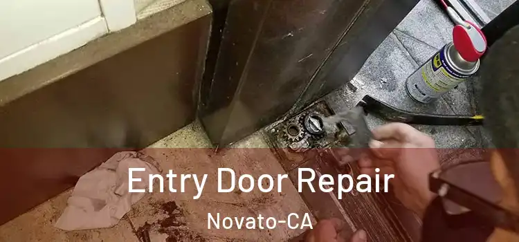 Entry Door Repair Novato-CA