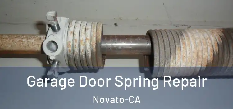  Garage Door Spring Repair Novato-CA