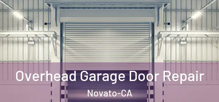  Overhead Garage Door Repair Novato-CA
