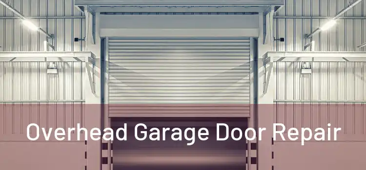  Overhead Garage Door Repair 