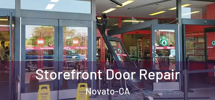 Storefront Door Repair Novato-CA